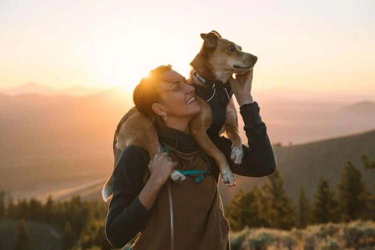 Ошейник Ruffwear® Front Range™ Collar