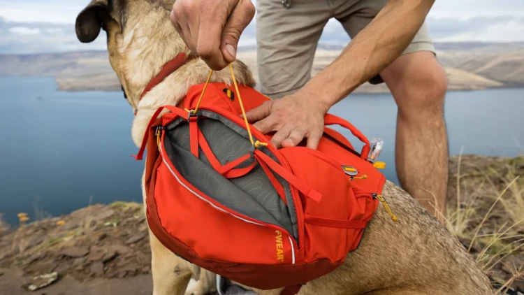 RUFFWEAR® Palisades Pack™ рюкзак для собак 