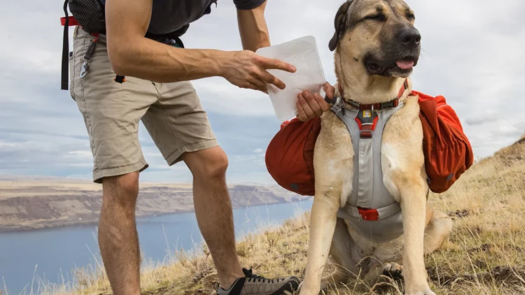 RUFFWEAR® Palisades Pack™ рюкзак для собак 