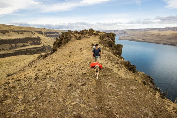 RUFFWEAR® Palisades Pack™ рюкзак для собак 