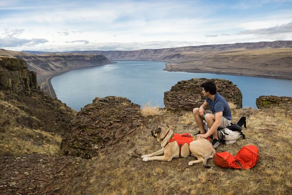 RUFFWEAR® Palisades Pack™ рюкзак для собак 