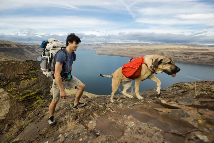 RUFFWEAR® Palisades Pack™ рюкзак для собак 