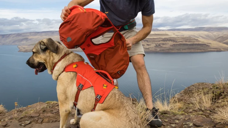 RUFFWEAR® Palisades Pack™ рюкзак для собак 