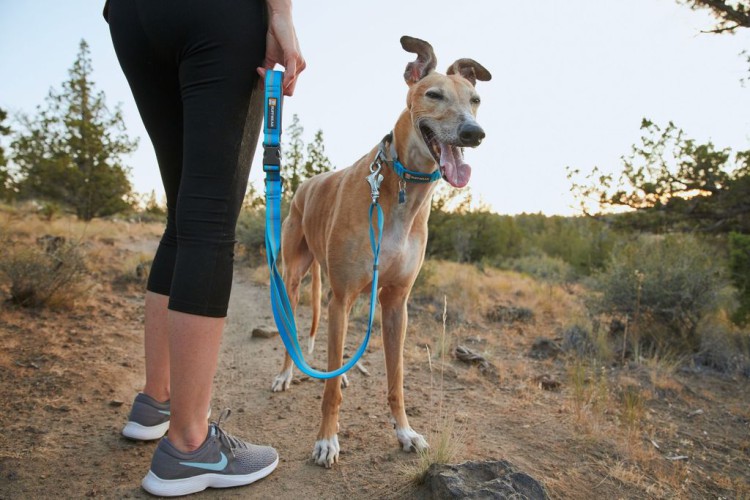 Ruffwear® Web Reaction™ martingale самозатягивающийся ошейник 