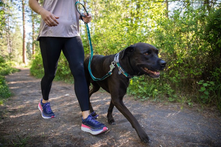 Ruffwear® Web Reaction™ martingale самозатягивающийся ошейник 