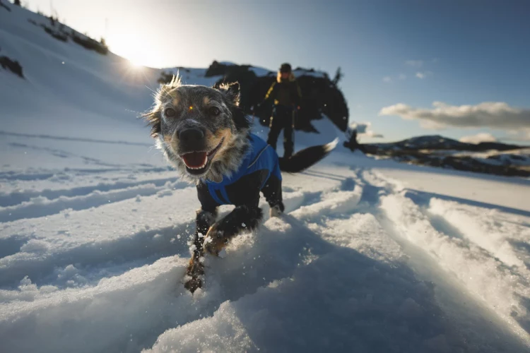 Ruffwear® Vert™ Coverall