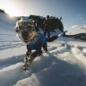 Ruffwear® Vert™ Coverall
