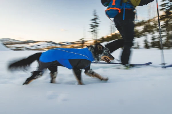 Ruffwear® Vert™ Coverall