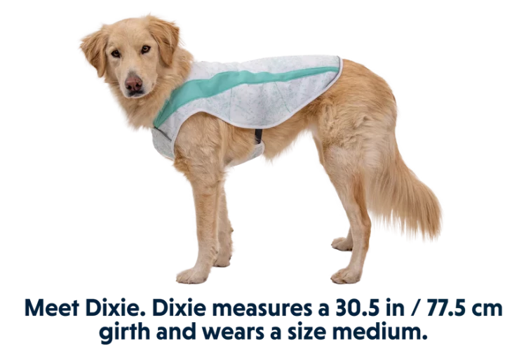 Ruffwear® Swamp Cooler™ охлаждающая попона для собак 