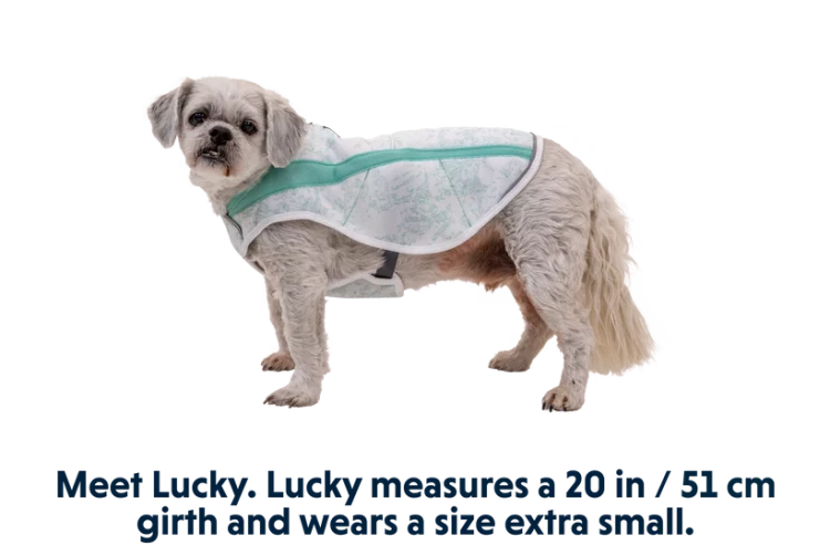 Ruffwear® Swamp Cooler™ охлаждающая попона для собак 