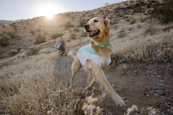 Ruffwear® Swamp Cooler™ охлаждающая попона для собак 