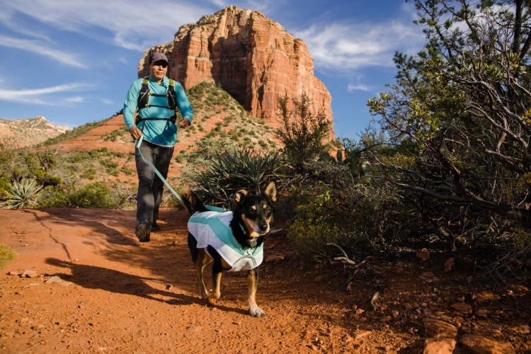 Ruffwear® Swamp Cooler™ охлаждающая попона для собак 