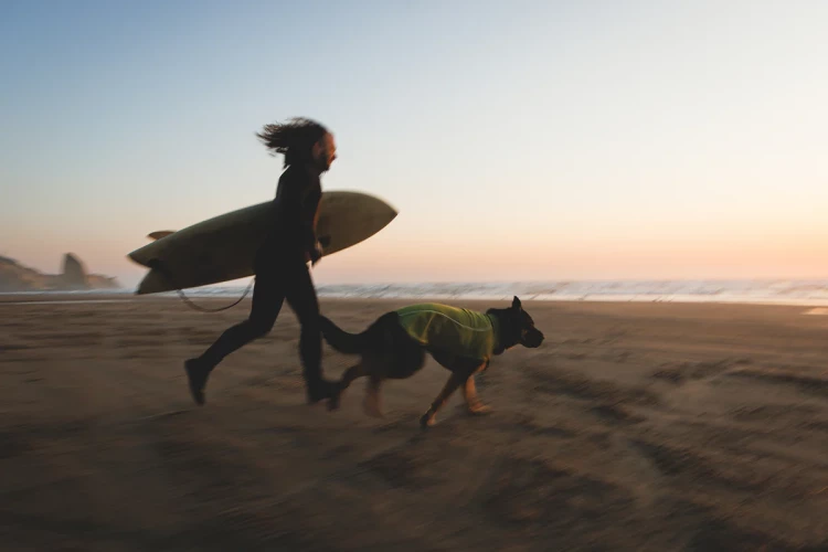 Ruffwear® Climate Changer™ Vest