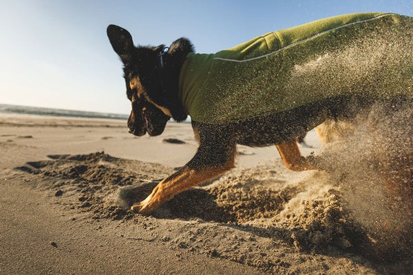 Ruffwear® Climate Changer™ Vest