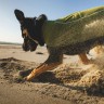 Ruffwear® Climate Changer™ Vest