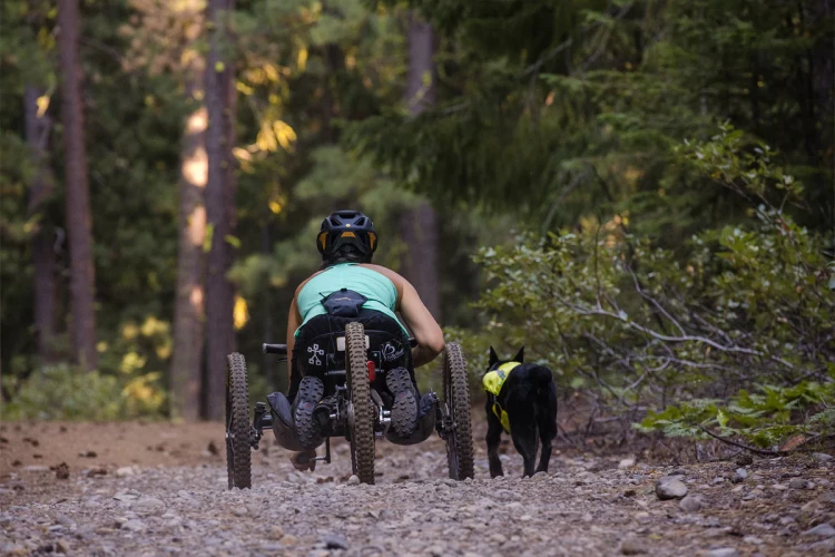 Комбинированная сумочка Ruffwear® Pack Out Bag™
