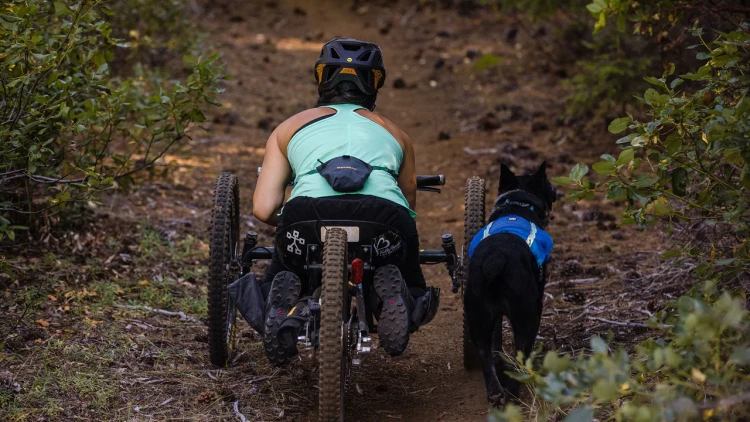 Комбинированная сумочка Ruffwear® Pack Out Bag™