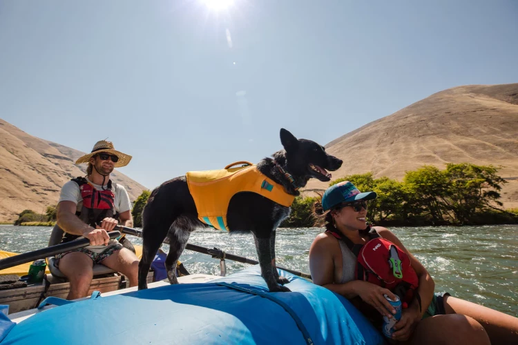 Ruffwear®  Float Coat™ Спасательный жилет для собак 