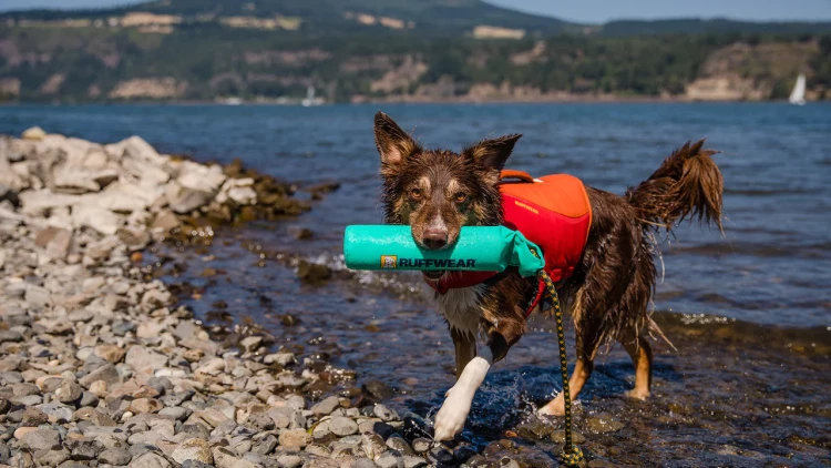Ruffwear® Lunker™- мягкая и прочная игрушка