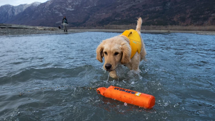 Ruffwear® Lunker™- мягкая и прочная игрушка