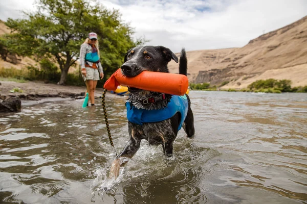 Ruffwear® Lunker™- мягкая и прочная игрушка