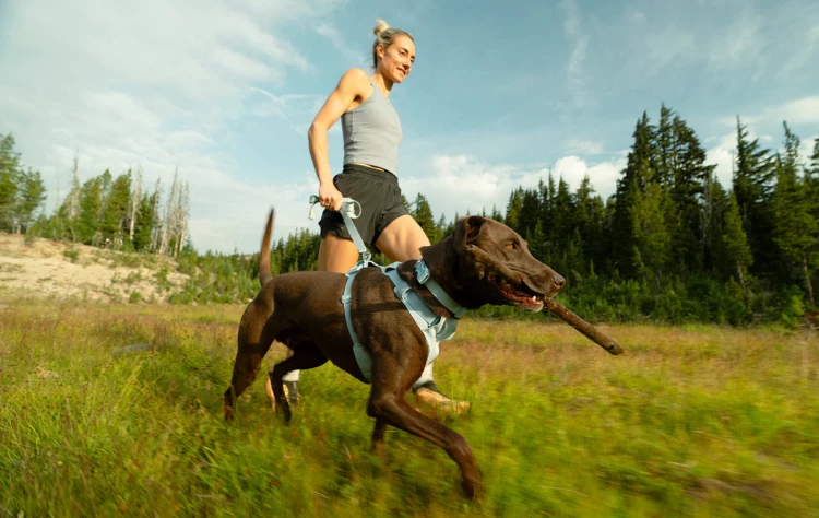 Шлея RUFFWEAR® Front Range® Flex