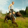 Шлея RUFFWEAR® Front Range® Flex