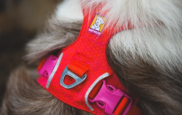 Шлея RUFFWEAR® Front Range® Flex