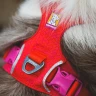 Шлея RUFFWEAR® Front Range® Flex
