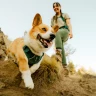 Шлея RUFFWEAR® Front Range® Flex
