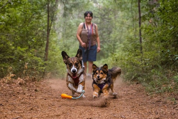 Ruffwear® Gourdo™ - рельефная резиновая интерактивная игрушка 