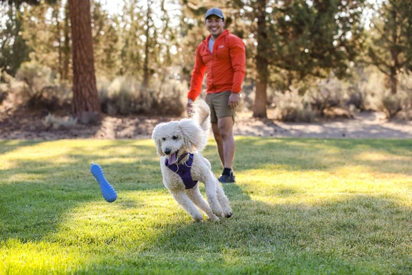 Ruffwear® Gourdo™ - рельефная резиновая интерактивная игрушка 