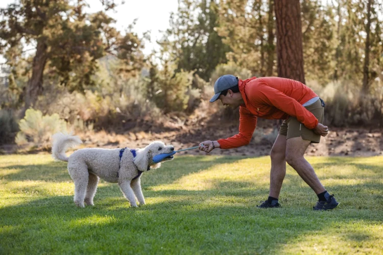 Ruffwear® Gourdo™ - рельефная резиновая интерактивная игрушка 