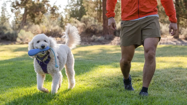 Ruffwear® Gourdo™ - рельефная резиновая интерактивная игрушка 