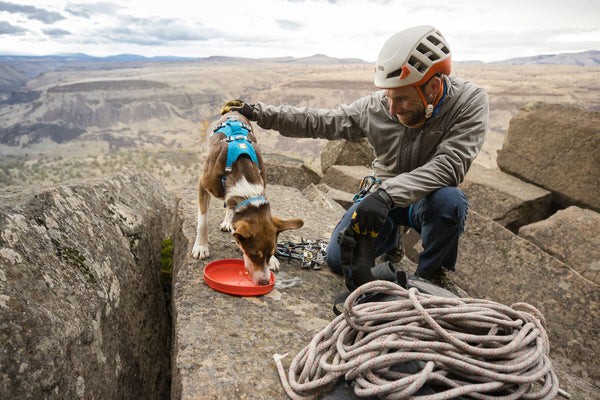 Ruffwear® Camp Flyer™- гибкая летающая тарелка (фрисби) - миска