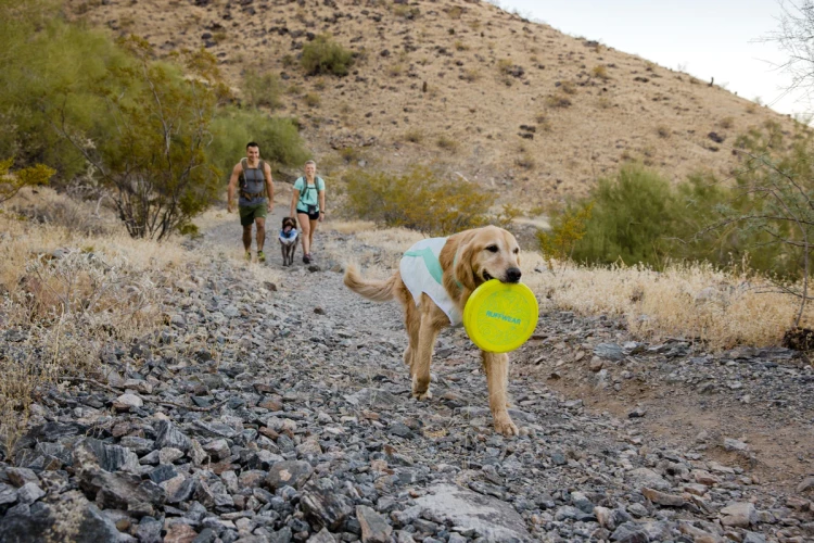 Ruffwear® Camp Flyer™- гибкая летающая тарелка (фрисби) - миска