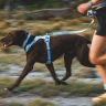 Поводок RUFFWEAR® Front Range® Flex