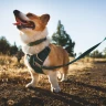 Поводок RUFFWEAR® Front Range® Flex