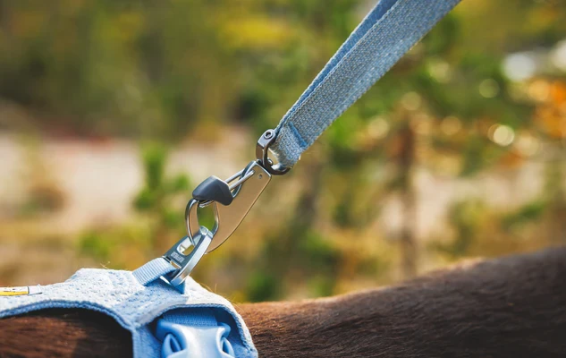 Поводок RUFFWEAR® Front Range® Flex