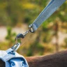 Поводок RUFFWEAR® Front Range® Flex