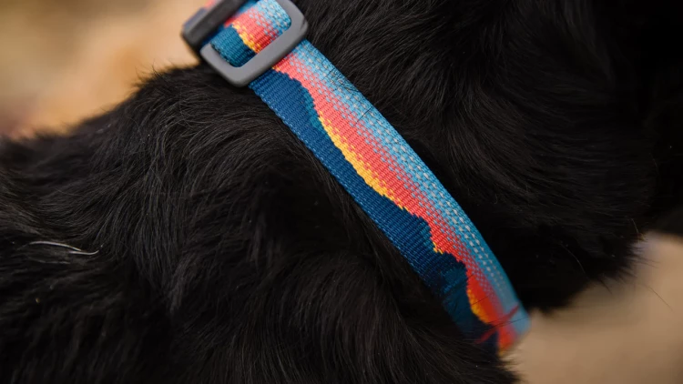 Ruffwear® Top Rope™ Collar