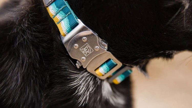 Ruffwear® Top Rope™ Collar