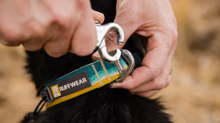 Ruffwear® Top Rope™ Collar