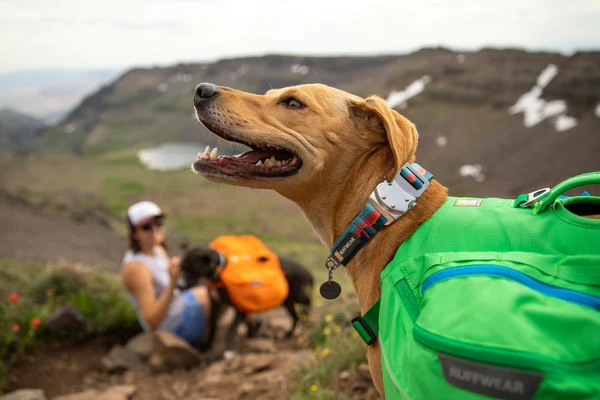Ruffwear® Top Rope™ Collar