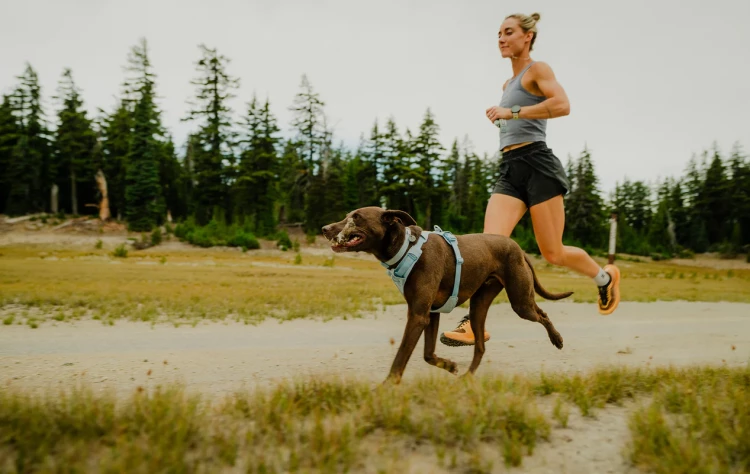 Ошейник RUFFWEAR® Front Range® Flex
