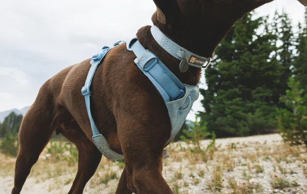 Ошейник RUFFWEAR® Front Range® Flex