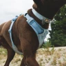 Ошейник RUFFWEAR® Front Range® Flex