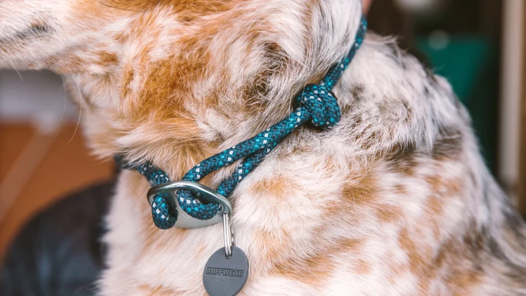 Ruffwear® Knot-a-Collar™ веревочный ошейник 