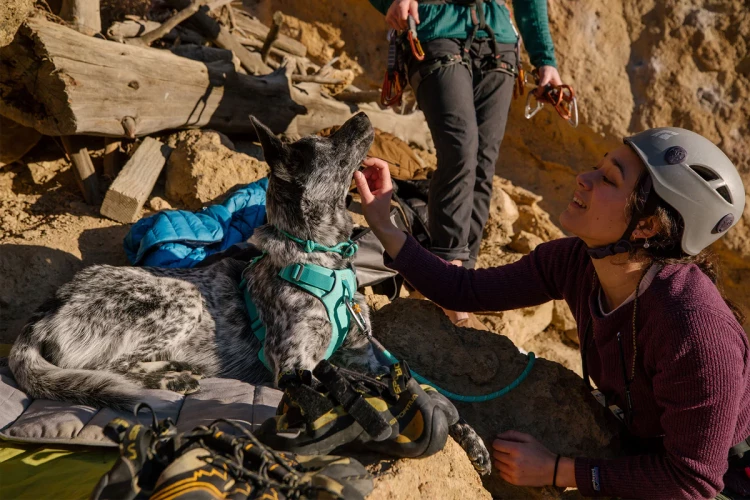 Ruffwear® Knot-a-Collar™ веревочный ошейник 