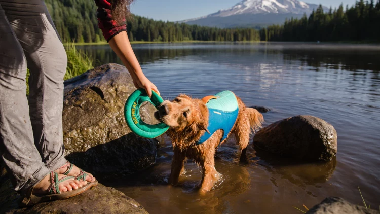Ruffwear® Hydro Plane™ тарелка-обруч (фрисби) 